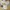 Redmi Watch 5 Active Silver  photo 2