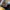 Sneaker Nike Waffle Trainer photo 7