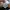 Sneaker Nike Waffle Trainer photo 8