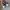 Sneaker Nike Waffle Trainer photo 5