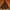 Mieli Invariant Hoodie photo 3