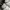 Sneaker Nike Air Force 1 LX  photo 6
