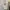 oversize white crewneck / celine fashion crewneck  photo 1