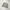 Oakley big logo photo 1