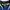 Polo Ralph Lauren Avant Garde Bomber jacket Pria blue photo 6