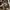 short cargo jeans infernouz photo 4