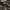 short cargo jeans infernouz photo 6