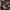 short cargo jeans infernouz photo 5