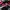 Nike Jordan Air photo 2