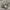 Asics Gel Kayano 14 Silver Cream Black White Plum photo 1