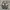 Asics Gel Kayano 14 Silver Cream Black White Plum photo 5