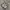 Asics Gel Kayano 14 Silver Cream Black White Plum photo 3