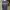 Essentials FOG Reflective photo 1