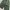 Unbrand Relax Shortpants Fatigue Green Military photo 4