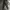 trackpant kappa tapped jogger black photo 3