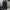 Dickies genuine cargo work pants photo 3