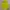 Jaket Uniqlo Lightweight Running Neon Second XL photo 2