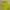 Jaket Uniqlo Lightweight Running Neon Second XL