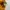 OIOI HOODIE YELLOW photo 5