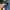 Y2K Wrangler Baggy Jorts by Wrangler photo 8