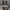 Nike Kobe 5 Protro Chaos photo 3