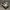 Nike Kobe 5 Protro Chaos photo 1