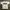 Vintage Y2K T-shirt Pria White