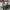 Y2K Southpole Alloverprint Baggy Jorts gothic aflliction sty photo 7