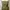 COLORBOX Casual Going out dress Wanita green photo 3