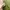 COLORBOX Casual Going out dress Wanita green photo 4