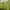 COLORBOX Casual Going out dress Wanita green photo 5