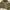 Contrast Stitch Jacket ZARA Olive Boxy Crop photo 3