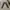 RELAXED FIT CARGO TROUSERS photo 1