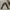 RELAXED FIT CARGO TROUSERS