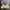 BH pita coquette broken white Lace brand OGET photo 1