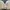 BH pita coquette broken white Lace brand OGET photo 2