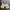 BH pita coquette broken white Lace brand OGET photo 4