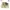 Jaket Bomber Harrington Tartan Turtleneck Fred Perry Cream photo 4