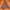 OAKLEY X ALPEN "BORDERLESS" Hoodie photo 4