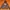 OAKLEY X ALPEN "BORDERLESS" Hoodie photo 2