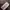 OAKLEY X ALPEN "BORDERLESS" Hoodie photo 8
