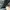 BALLY MAXIM BLACK LEATHER SNEAKERS , BALLY MAXIM BLACK , BAL photo 6