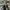 BALLY MAXIM BLACK LEATHER SNEAKERS , BALLY MAXIM BLACK , BAL photo 2