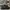 BALLY MAXIM BLACK LEATHER SNEAKERS , BALLY MAXIM BLACK , BAL photo 3