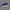 Sepatu Asics Gel-Cumulus 25 Men Running photo 1