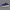 Sepatu Asics Gel-Cumulus 25 Men Running