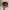 Noah Streetwear Hat Pria silver red photo 1