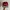 Noah Streetwear Hat Pria Silver Red