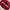 Noah Streetwear Hat Pria Silver Red