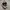 Converse 70s Hi Black White photo 1